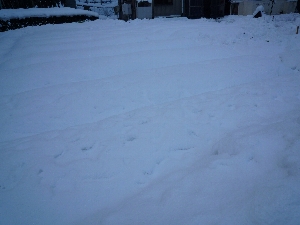 家の前の雪（積雪60cmほど）